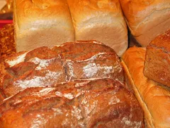 Forno comune