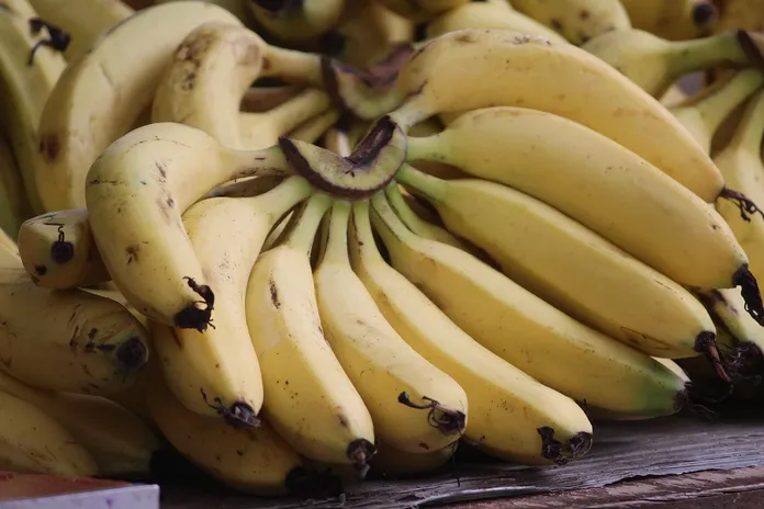 futuro-delle-banane-la-lente-web-05