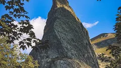Fosso Malafede valle del Risaro (3)