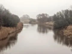 Lungo il tevere