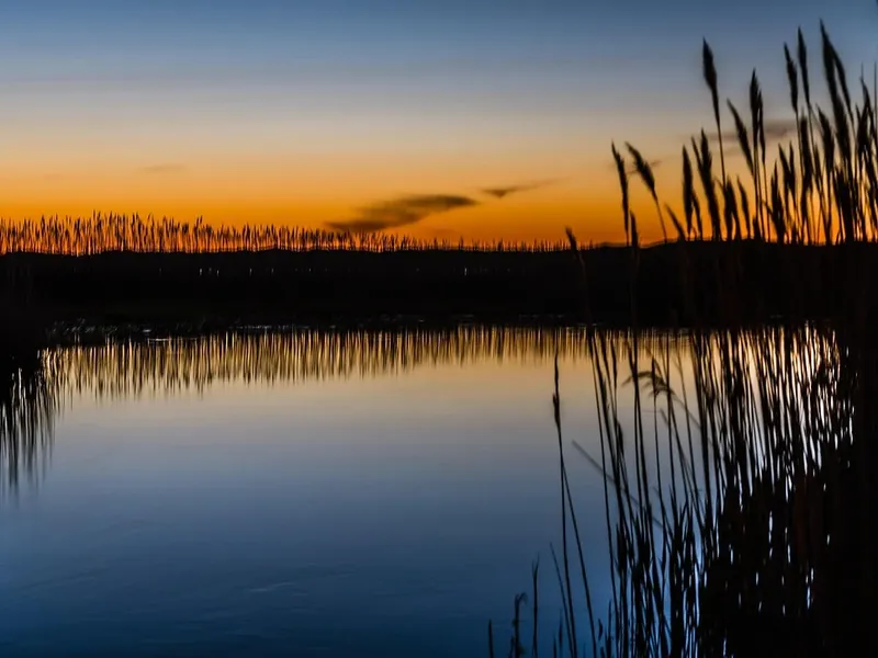 gambero-rosso-della-louisiana-la-lente-web-01