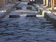 Serpente Biacco
