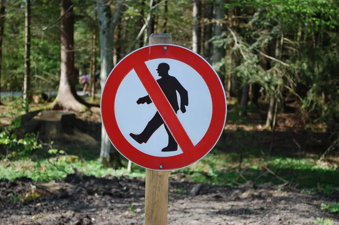 stop-al-glifosato-mais-la-lente-web