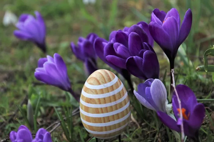 uovo-di-pasqua-uovo-la-lente-web