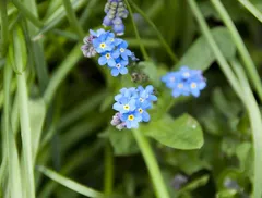 P1180702