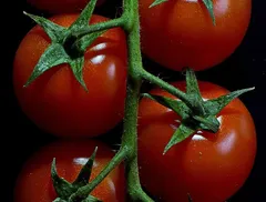 Il mercato di Campagna Amica (1)