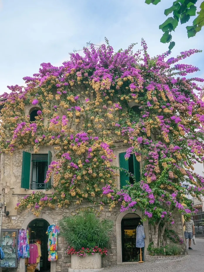 fara-in-sabina-orsini-wiki-la-lente-web