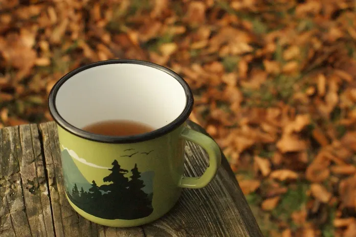 tisane-spezie-inverno-la-lente-web