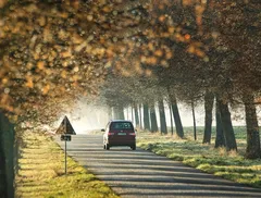 Traffico Roma