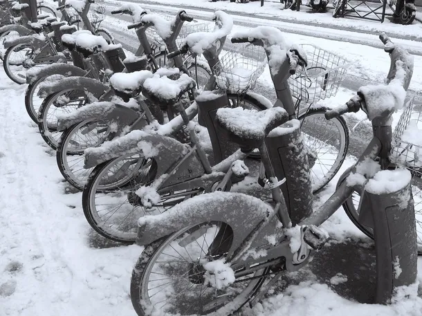 Bici fuori dalla cantina