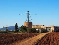 Torrino Mezzocammino rifiuti (5)