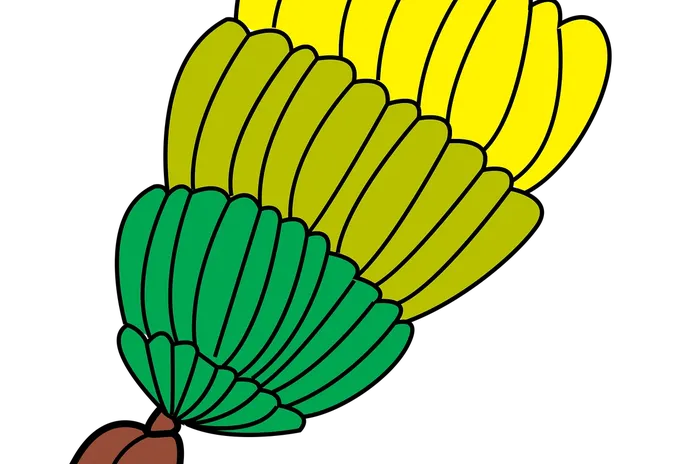 futuro-delle-banane-la-lente-web-02