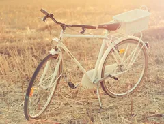 Bici fuori dalla cantina