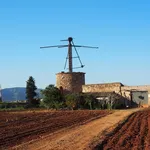 Torrino Mezzocammino rifiuti (5)