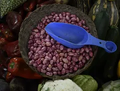 Casale Agro Romano MAIN STREAM