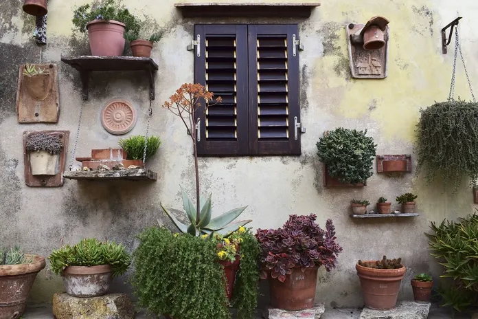 great-green-wall-alto-la-lente-web