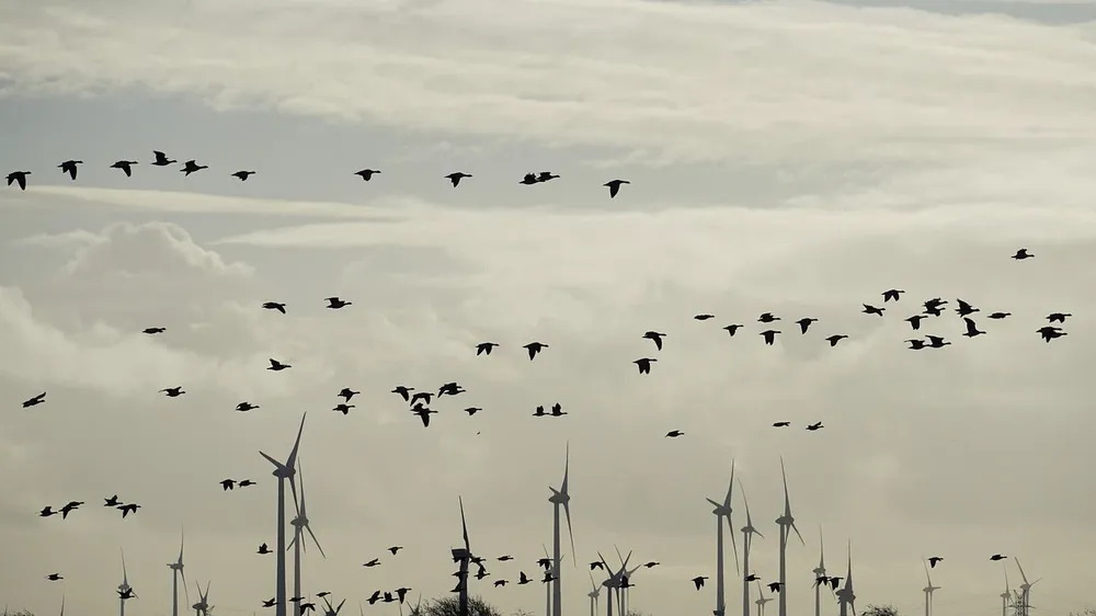 Energia-eolica-offshore-nord-europa-la-lente-web