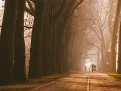 Foto bici e pista ciclabile