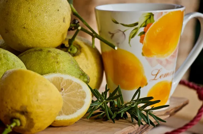 tisana-al-finocchio-la-lente-web