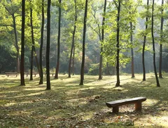 un anno con la lente