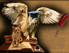 Più libri più liberi edizione 2017