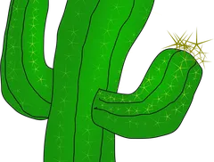 banner fb cactus