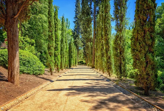 venezia-ciclovia-del-mediterraneo