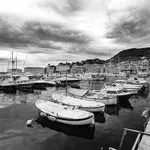 rami alla marina di alberse