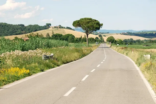 vitello maremmano