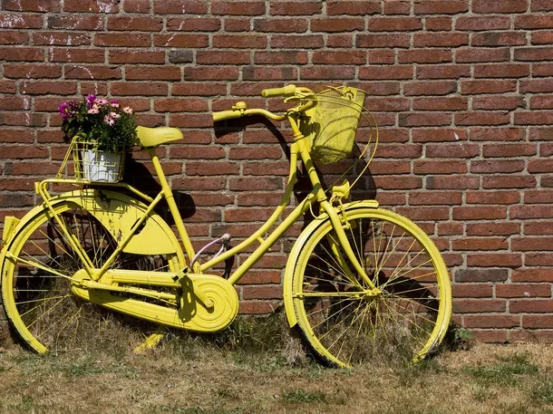 Ruota bici