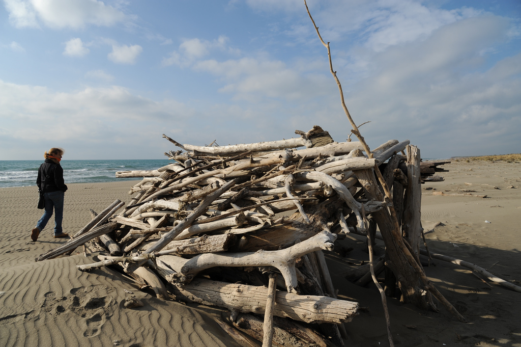 sulla spiaggia di alberese